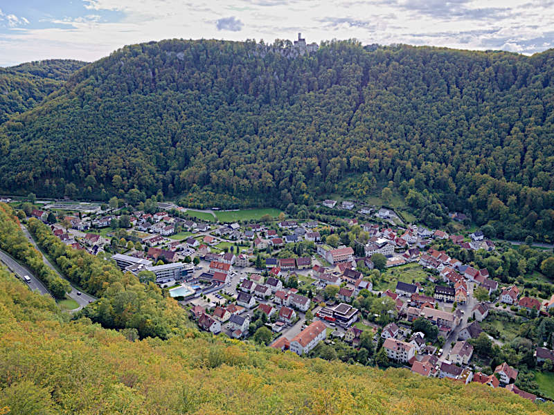 Blick auf Honau
