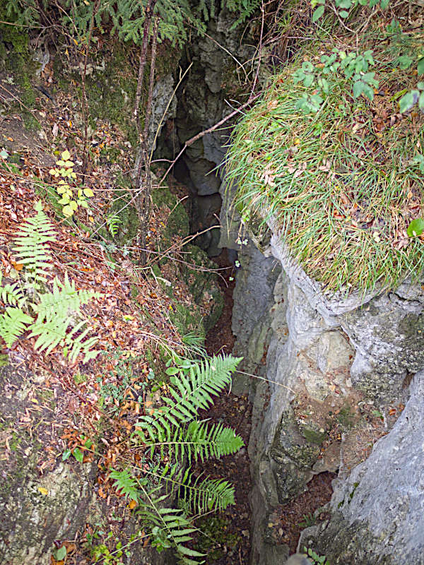 Spalte am Hangender Stein