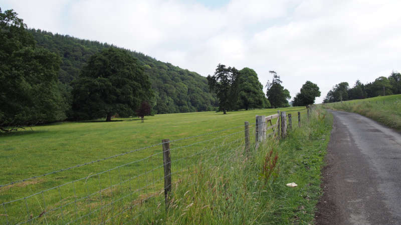 Weide mit B&auml;umen