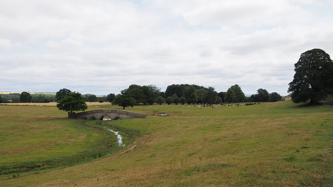 Weide mit Br&uuml;cke